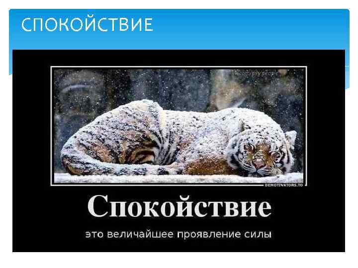 СПОКОЙСТВИЕ 