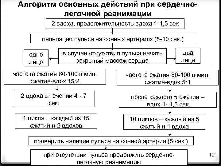 Алгоритм основных действий при сердечнолегочной реанимации 2 вдоха, продолжительность вдоха 1 -1, 5 сек