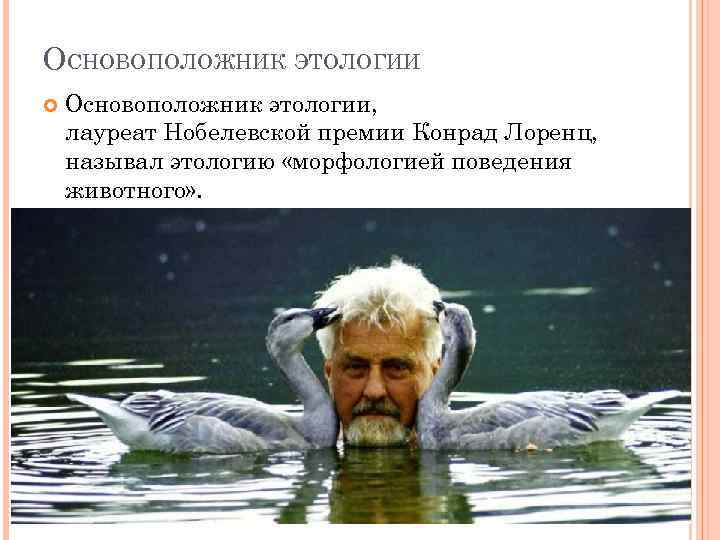 ОСНОВОПОЛОЖНИК ЭТОЛОГИИ Основоположник этологии, лауреат Нобелевской премии Конрад Лоренц, называл этологию «морфологией поведения животного»