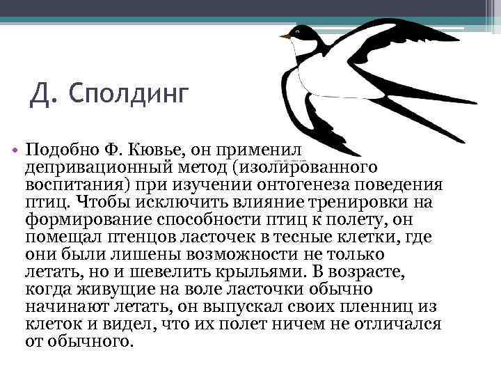 Поведение птиц контролируется. Способности птиц. Родительское поведение птиц. Примеры сложного поведения птиц. Сполдинги птица.