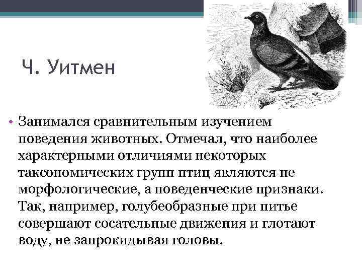 Ч. Уитмен • Занимался сравнительным изучением поведения животных. Отмечал, что наиболее характерными отличиями некоторых