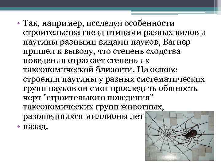  • Так, например, исследуя особенности строительства гнезд птицами разных видов и паутины разными