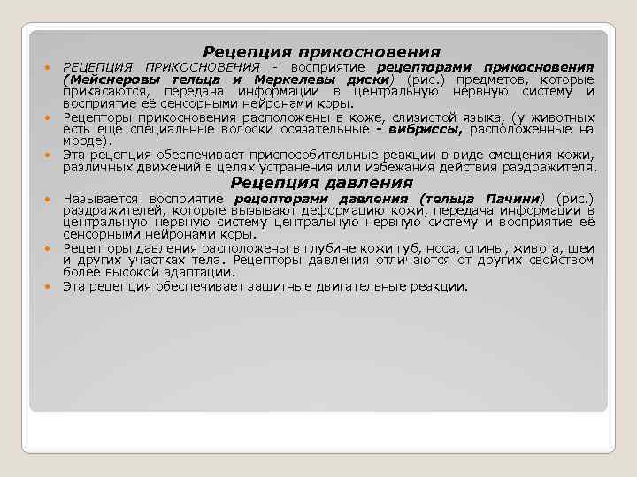 Рецепция прикосновения РЕЦЕПЦИЯ ПРИКОСНОВЕНИЯ - восприятие рецепторами прикосновения (Мейснеровы тельца и Меркелевы диски) (рис.
