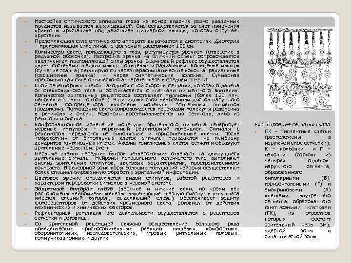  Настройка оптического аппарата глаза на ясное видение разно удаленных предметов называется аккомодацией. Она