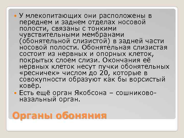 У млекопитающих они расположены в переднем и заднем отделах носовой полости, связаны с тонкими