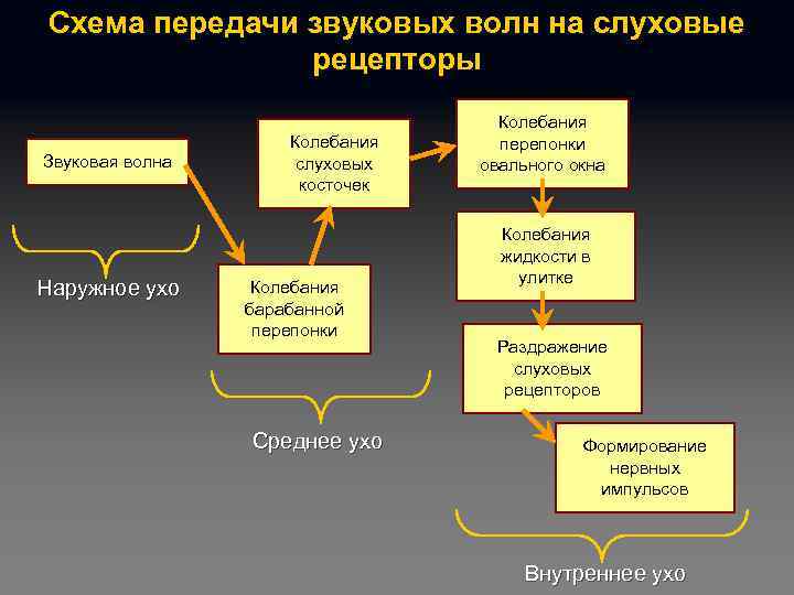 Секретная манера передачи звуковой