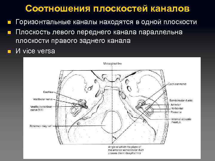 Соотношения плоскостей каналов n n n Горизонтальные каналы находятся в одной плоскости Плоскость левого