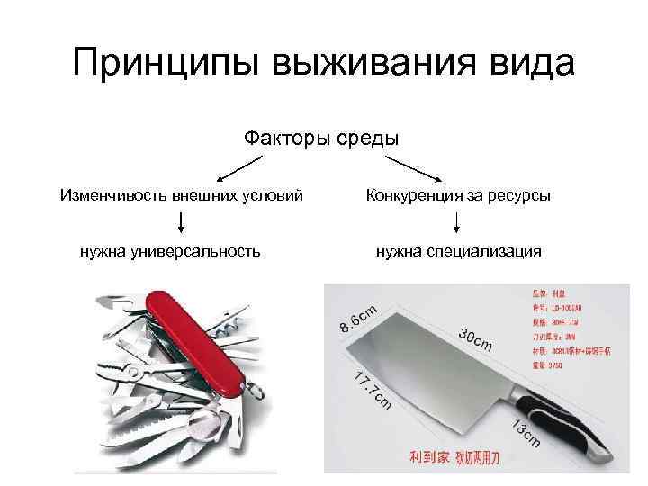 Принципы выживания вида Факторы среды Изменчивость внешних условий нужна универсальность Конкуренция за ресурсы нужна