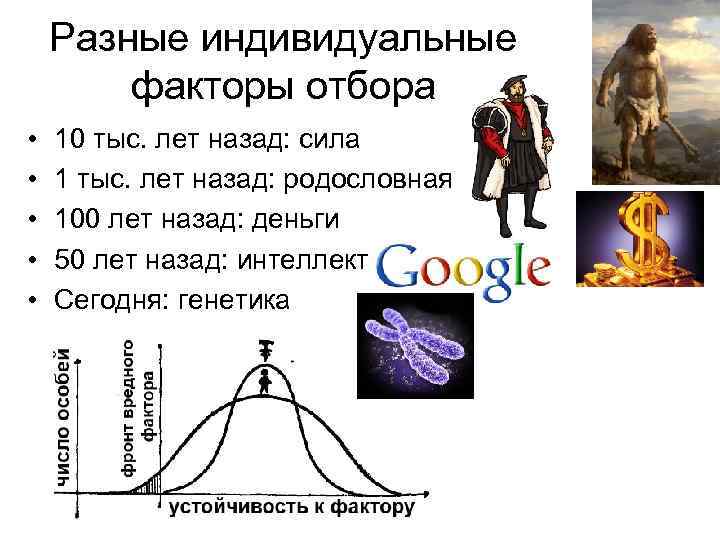 Разные индивидуальные факторы отбора • • • 10 тыс. лет назад: сила 1 тыс.