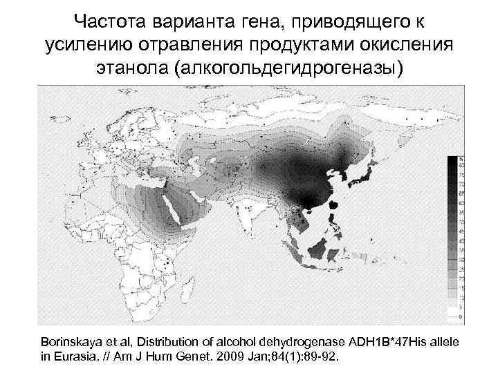 Частота варианта гена, приводящего к усилению отравления продуктами окисления этанола (алкогольдегидрогеназы) Borinskaya et al,