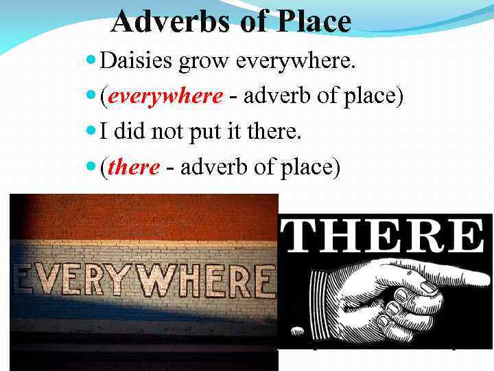 Adverbs of Place Daisies grow everywhere. (everywhere - adverb of place) I did not