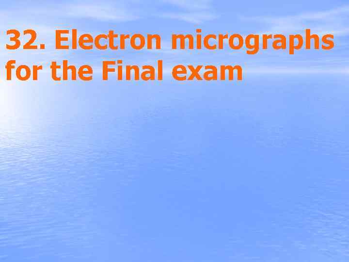 32. Electron micrographs for the Final exam 