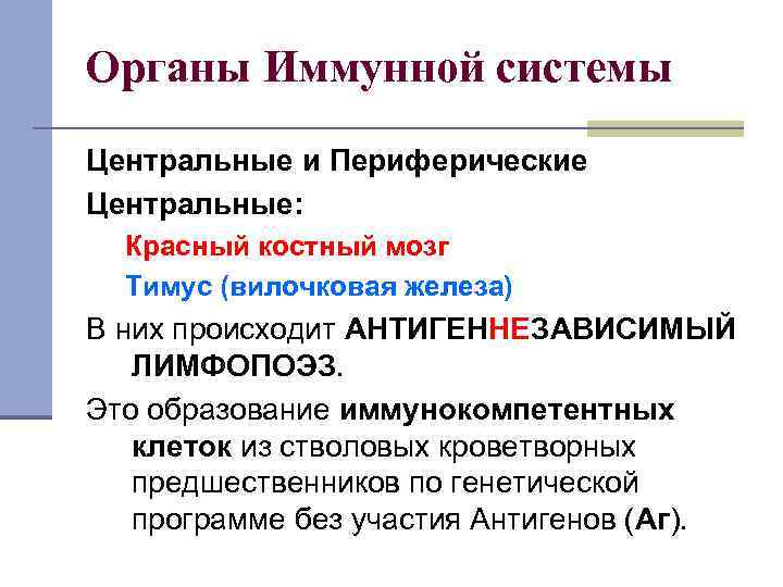 Органы Иммунной системы Центральные и Периферические Центральные: Красный костный мозг Тимус (вилочковая железа) В