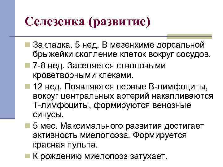 Селезенка (развитие) n Закладка. 5 нед. В мезенхиме дорсальной брыжейки скопление клеток вокруг сосудов.