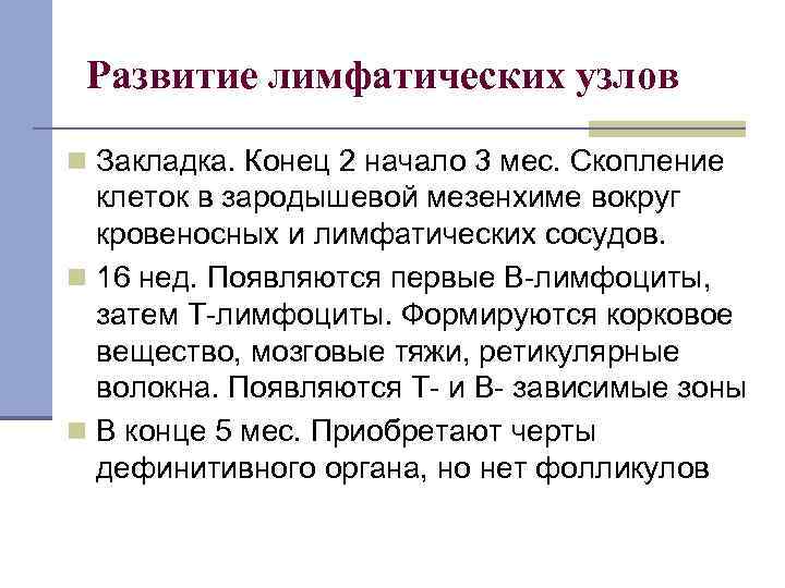 Развитие лимфатических узлов n Закладка. Конец 2 начало 3 мес. Скопление клеток в зародышевой