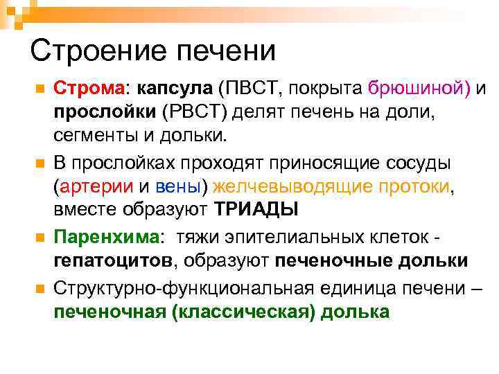 Паренхима печени что это. Строение печени паренхима и Строма. Строение печени Строма. Анатомия паренхима и Строма печень.