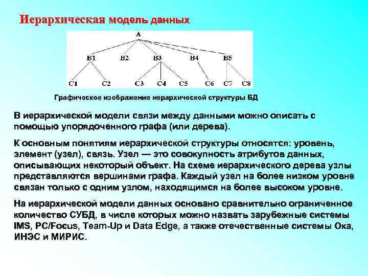 В иерархической базе данных совокупность данных и связей между ними описывается сетевой схемой