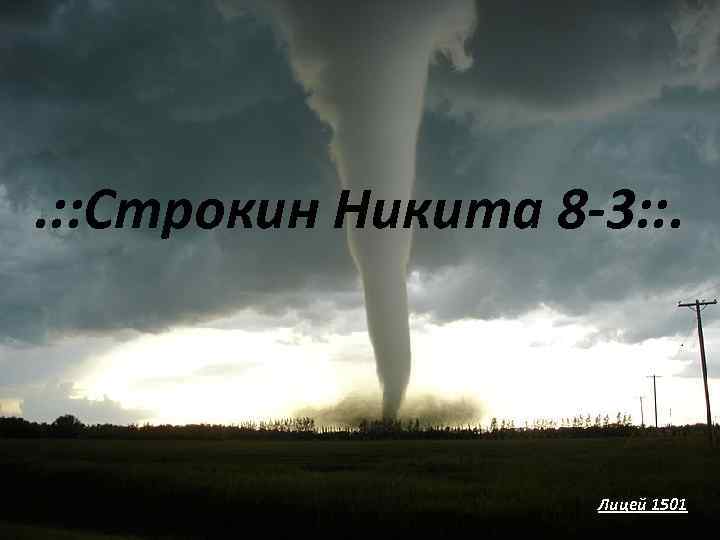 . : : Строкин Никита 8 -3: : . Лицей 1501 