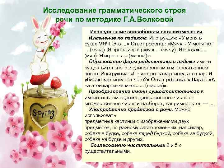 Исследование грамматического строя речи по методике Г. А. Волковой Исследование способности словоизменения Изменение по