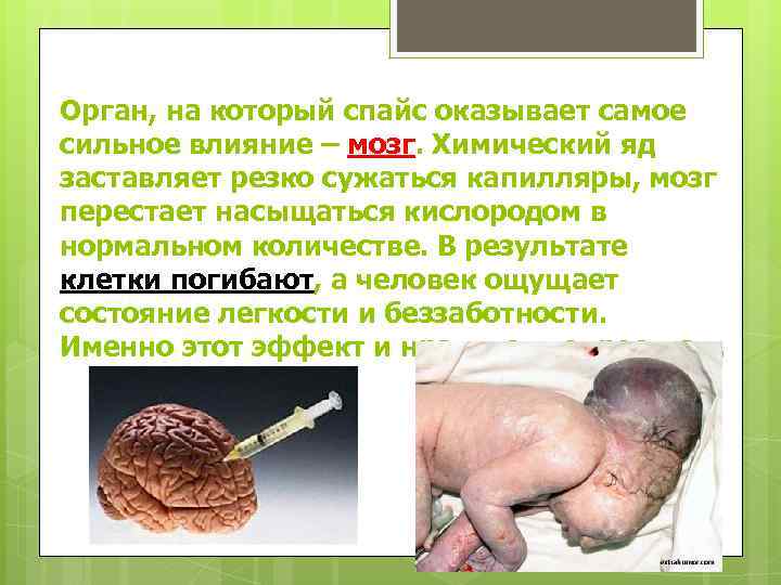Орган, на который спайс оказывает самое сильное влияние – мозг. Химический яд заставляет резко