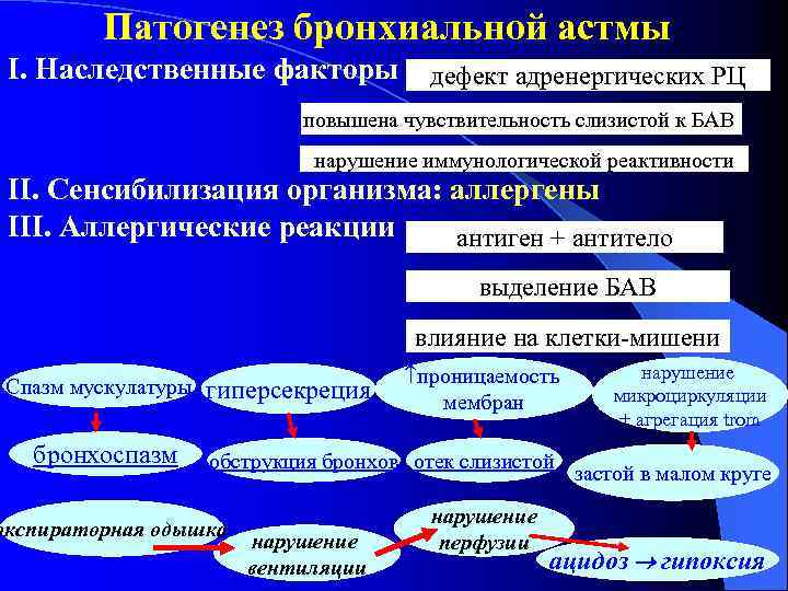 Патогенез бронхиальной астмы І. Наследственные факторы дефект адренергических РЦ повышена чувствительность слизистой к БАВ