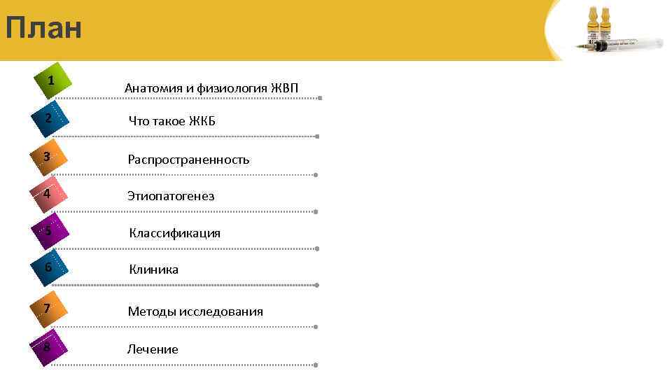 План 1 Анатомия и физиология ЖВП 2 Что такое ЖКБ 3 Распространенность 4 Этиопатогенез