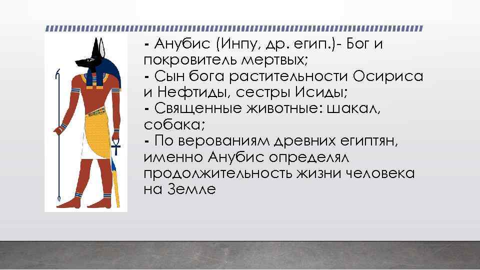 - Анубис (Инпу, др. егип. )- Бог и покровитель мертвых; - Cын бога растительности