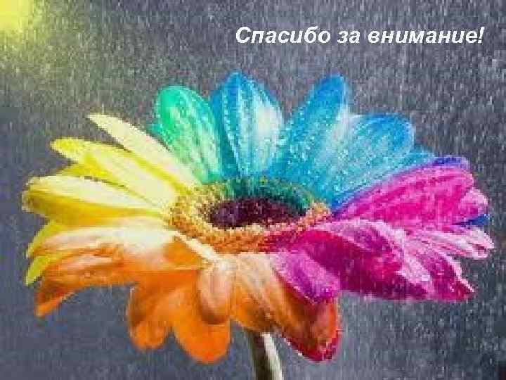 Спасибо за внимание! 20 