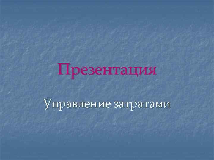 Презентация Управление затратами 