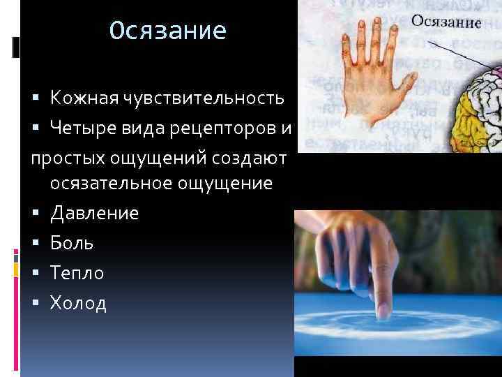 Осязание Кожная чувствительность Четыре вида рецепторов и простых ощущений создают осязательное ощущение Давление Боль