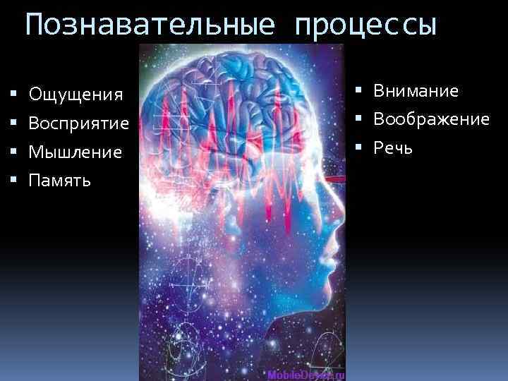 Познавательные процессы Ощущения Восприятие Мышление Память Внимание Воображение Речь 