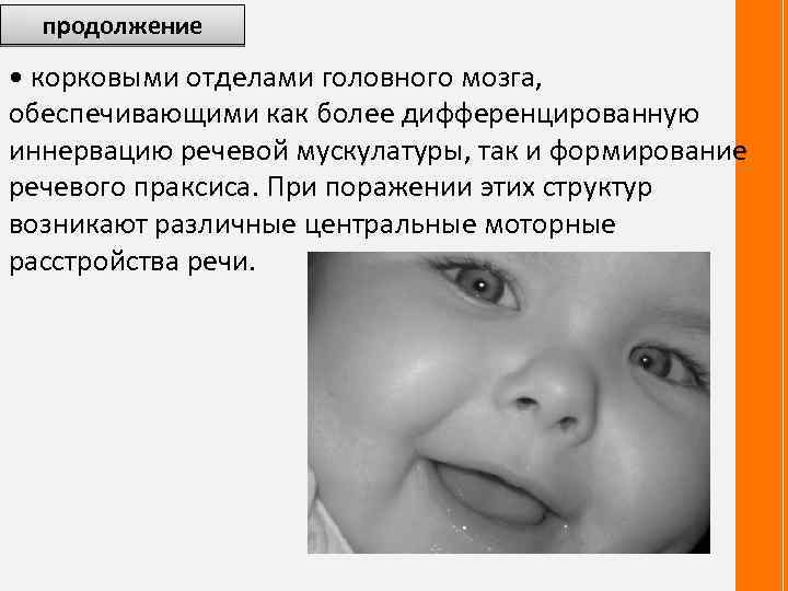 продолжение • корковыми отделами головного мозга, обеспечивающими как более дифференцированную иннервацию речевой мускулатуры, так