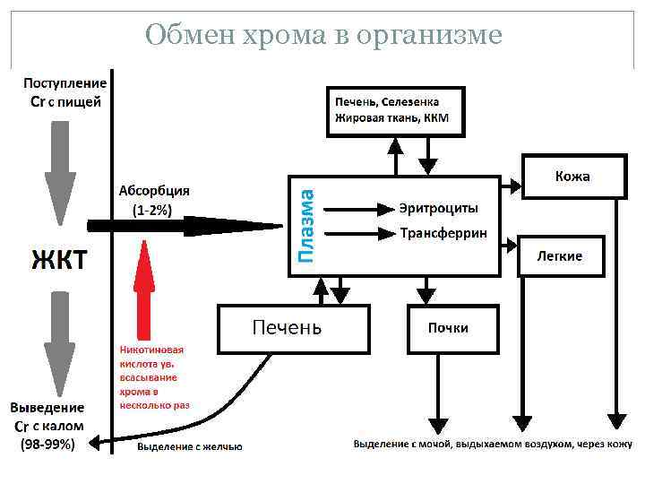 Хром и марганец являются красочными веществами лексическая ошибка