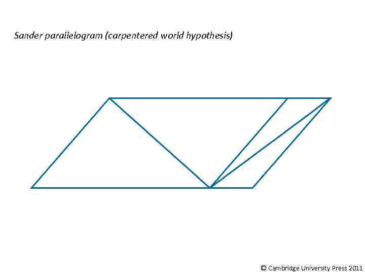 Sander parallelogram (carpentered world hypothesis) © Cambridge University Press 2011 