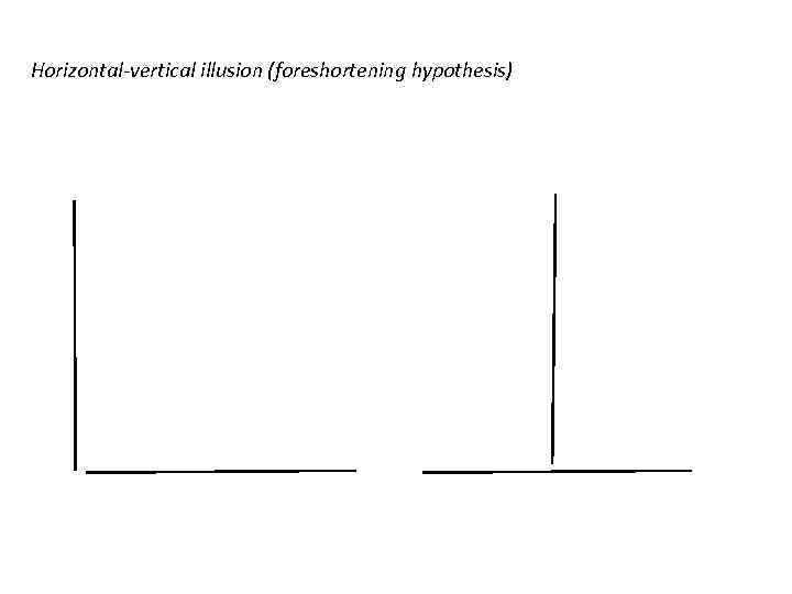 Horizontal-vertical illusion (foreshortening hypothesis) 