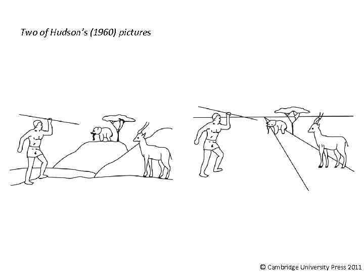 Two of Hudson’s (1960) pictures © Cambridge University Press 2011 