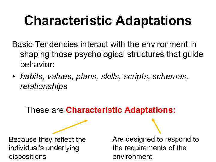 Characteristic Adaptations Basic Tendencies interact with the environment in shaping those psychological structures that