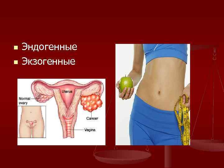 n n Эндогенные Экзогенные 