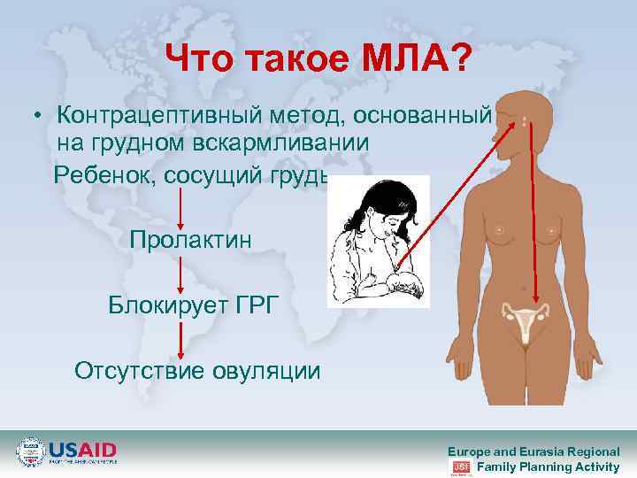 Что такое МЛА? • Контрацептивный метод, основанный на грудном вскармливании Ребенок, сосущий грудь Пролактин