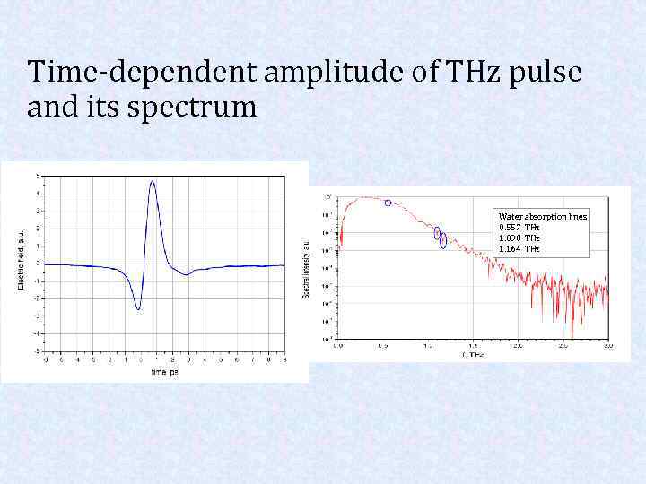 Time-dependent amplitude of THz pulse and its spectrum Water absorption lines 0. 557 ТHz
