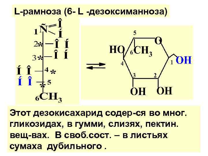 L-рамноза (6 - L -дезоксиманноза) Этот дезокисахарид содер-ся во мног. гликозидах, в гумми, слизях,