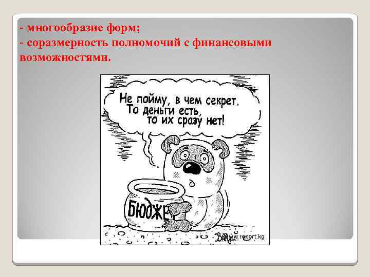 - многообразие форм; - соразмерность полномочий с финансовыми возможностями. 