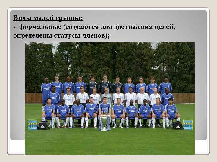 Виды малой группы: - формальные (создаются для достижения целей, определены статусы членов); 