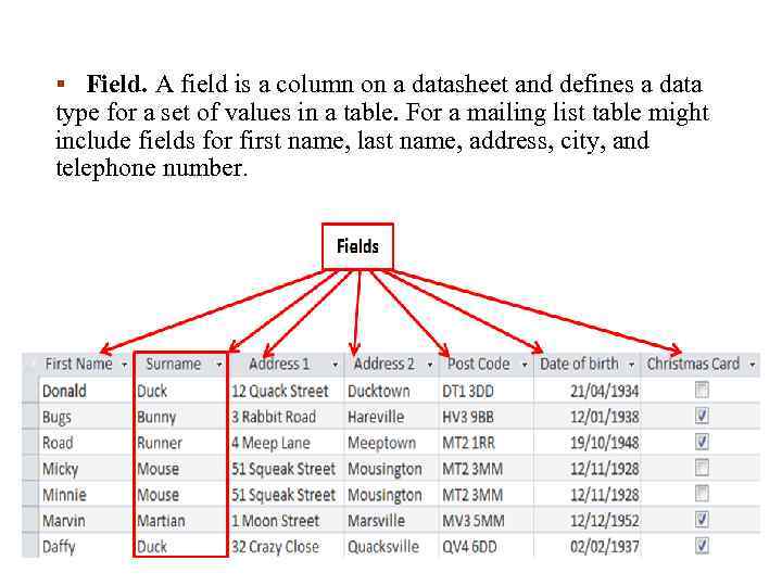 § Field. A field is a column on a datasheet and defines a data