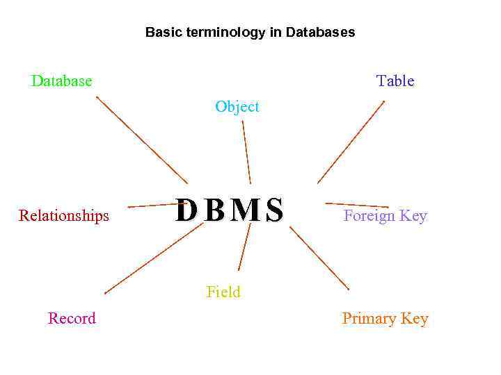 Basic terminology in Databases Database Table Object Relationships DBMS Foreign Key Field Record Primary