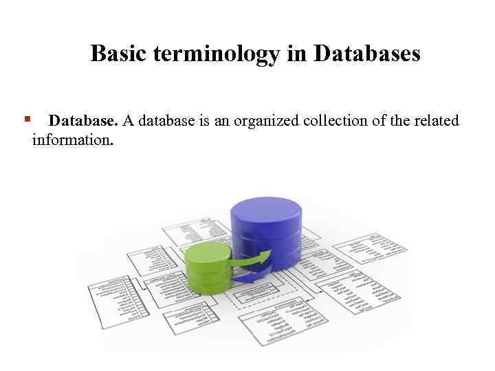 Basic terminology in Databases § Database. A database is an organized collection of the