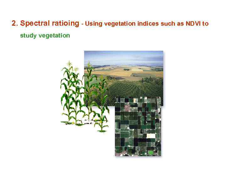 2. Spectral ratioing - Using vegetation indices such as NDVI to study vegetation 