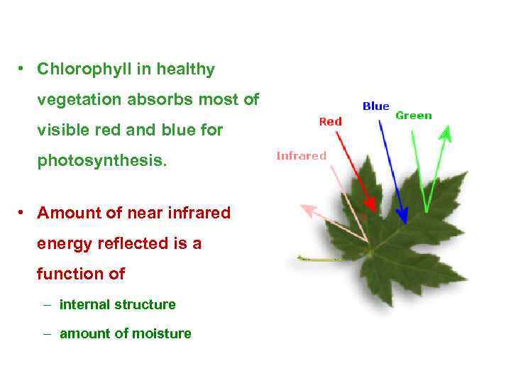  • Chlorophyll in healthy vegetation absorbs most of visible red and blue for