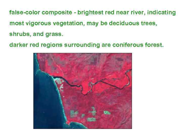 false-color composite - brightest red near river, indicating most vigorous vegetation, may be deciduous