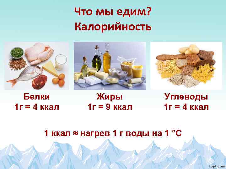 Что мы едим? Калорийность Белки 1 г = 4 ккал Жиры 1 г =